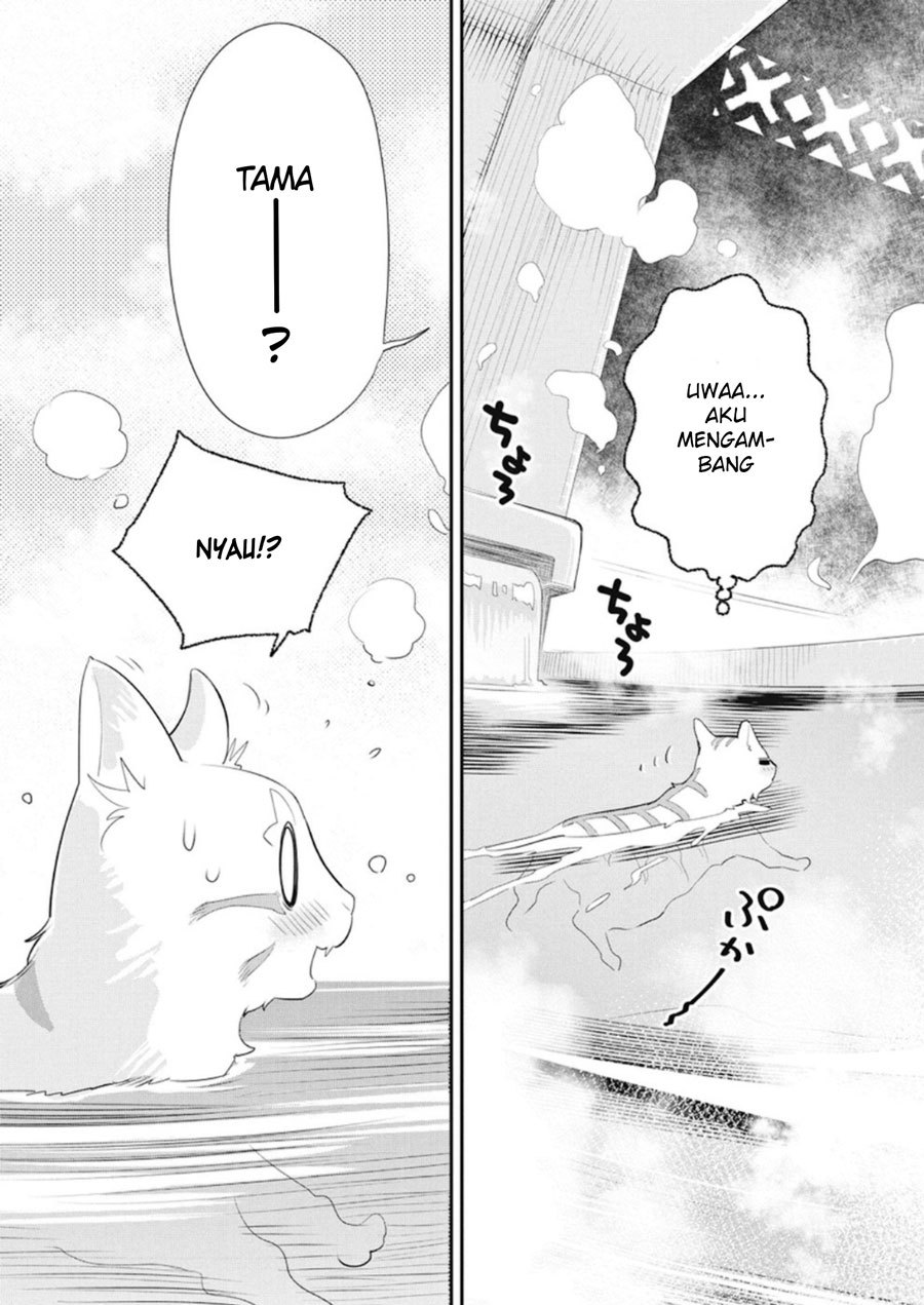 S-Rank Monster no Behemoth Dakedo, Neko to Machigawarete Erufu Musume no Kishi (Pet) Toshite Kurashitemasu Chapter 04 Gambar 6